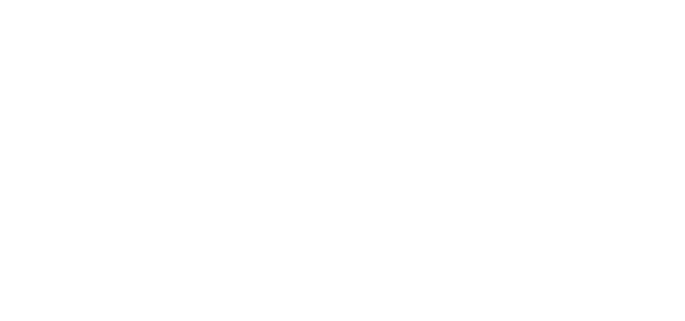 Vasvi Consulting